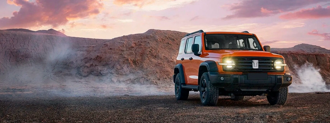 Купить Tank в Челябинске